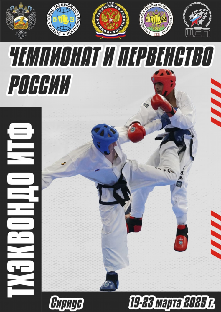 Единоборства сегодня результаты
