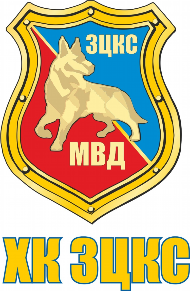 Федерация хоккея города нижнего новгорода официальный сайт