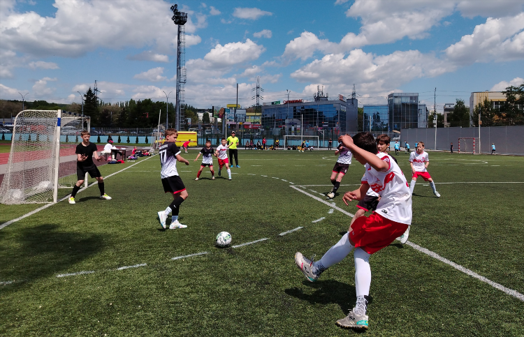 Министерство спорта саратов официальный сайт