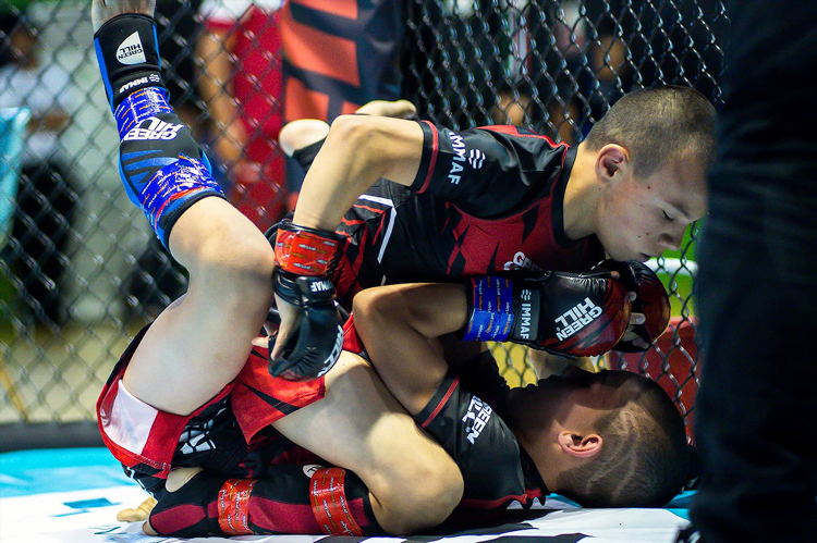 Mma stream live