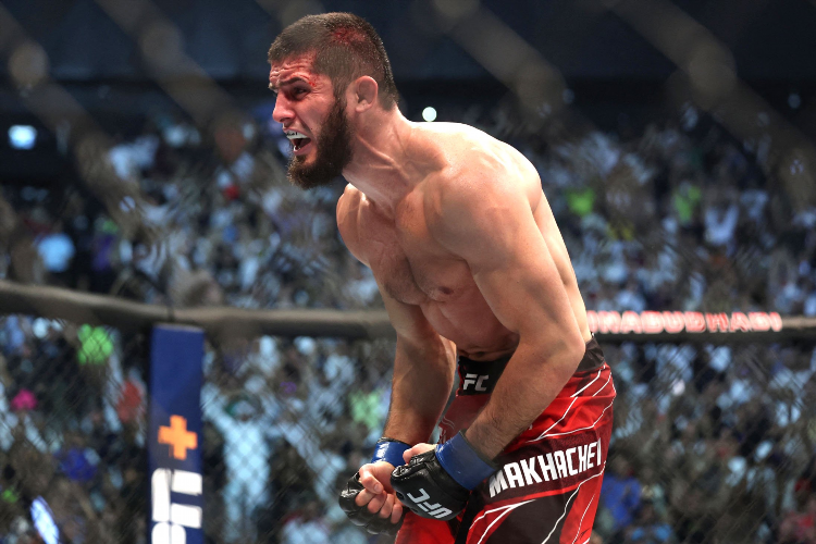 Полулегкая весовая категория ufc