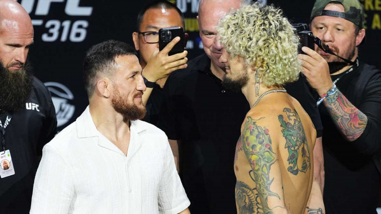 Смешанные единоборства ufc сегодня